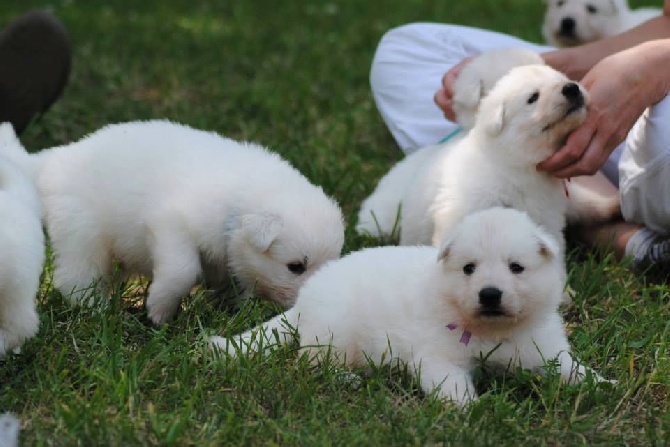 Bébés a l'élevage <3 <3 <3