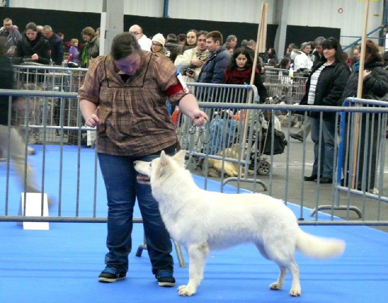 Exposition de Toulouse 2013