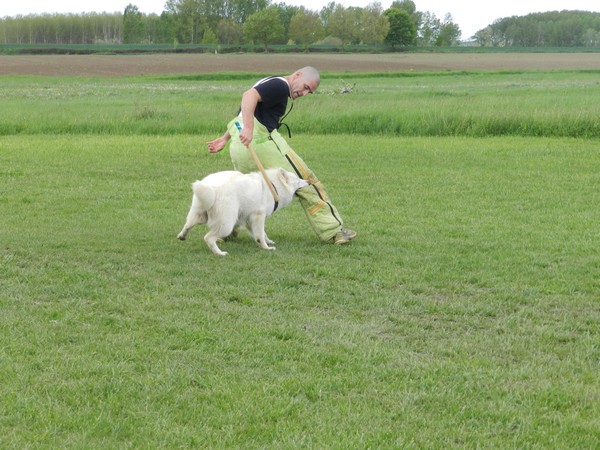 Entrainement Ring du 29/04/2012