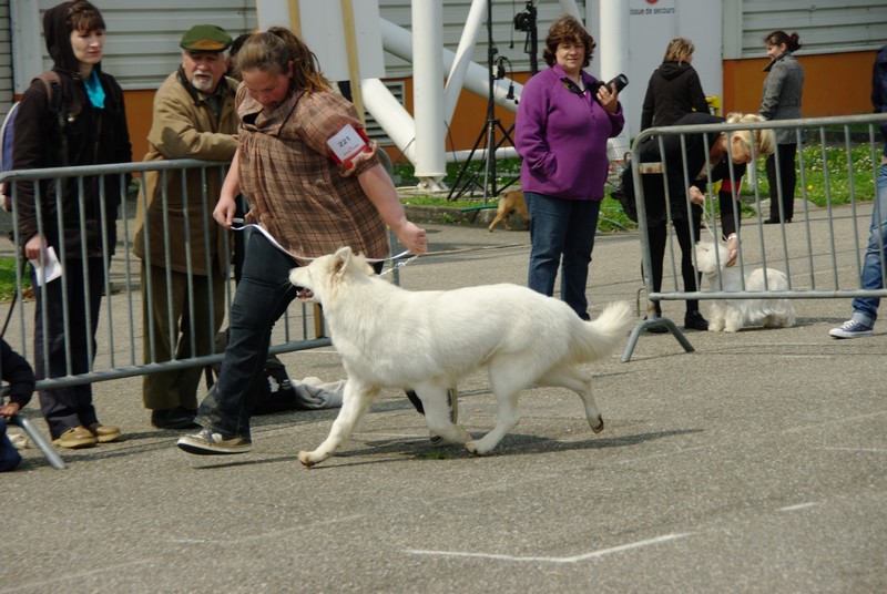 Exposition internationale d'Agen
