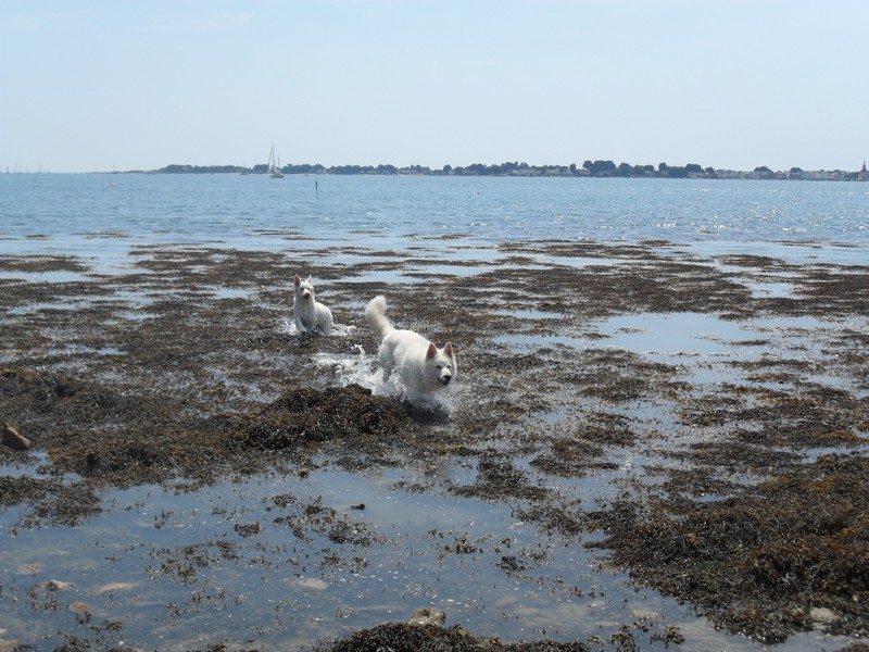 Vacance Bretagne dans la famille 2011